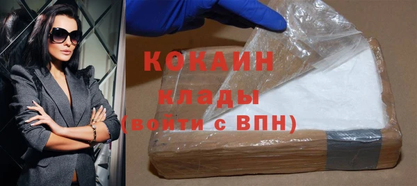 стаф Бородино