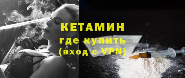 стаф Бородино