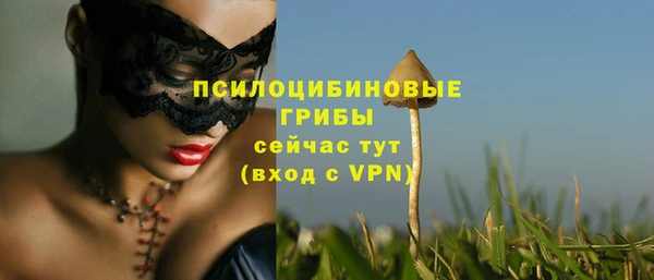 не бодяженный Богданович