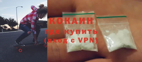 стаф Бородино