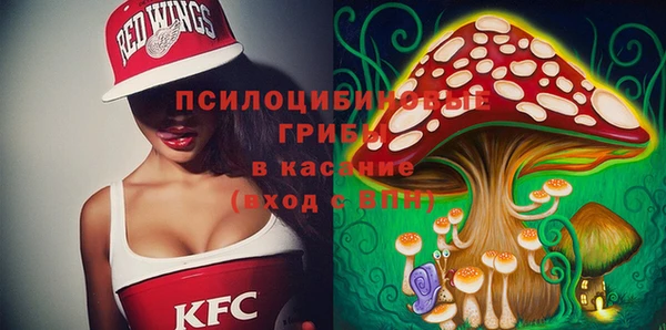 не бодяженный Богданович