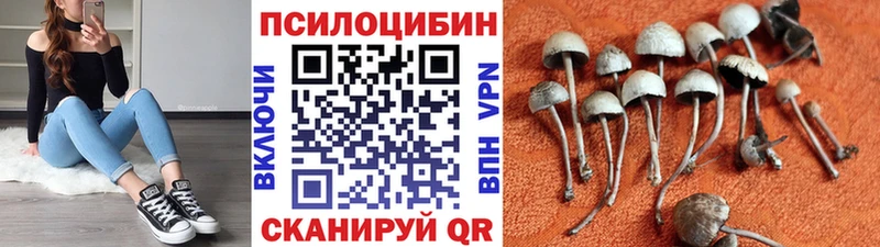 Галлюциногенные грибы GOLDEN TEACHER  где продают   Дагестанские Огни 